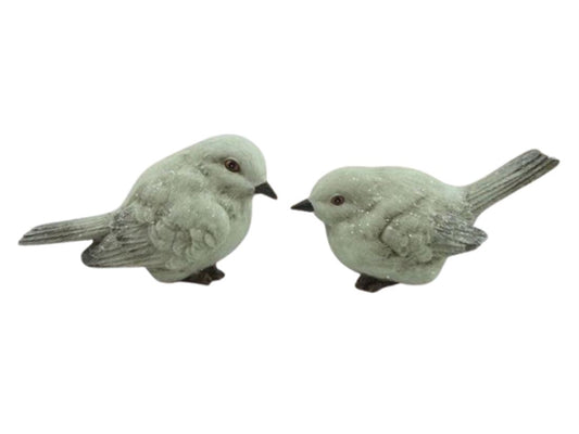 42001425818.jpg.png