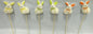 42012412598.jpg