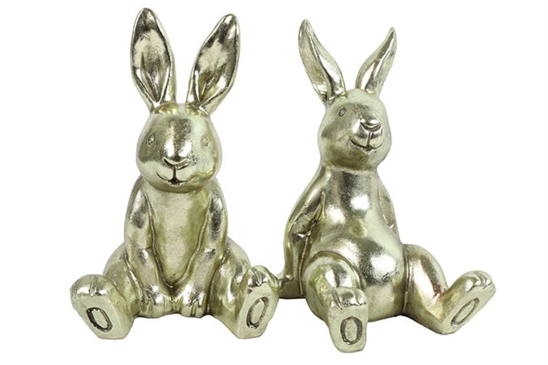 42047302573.JPG