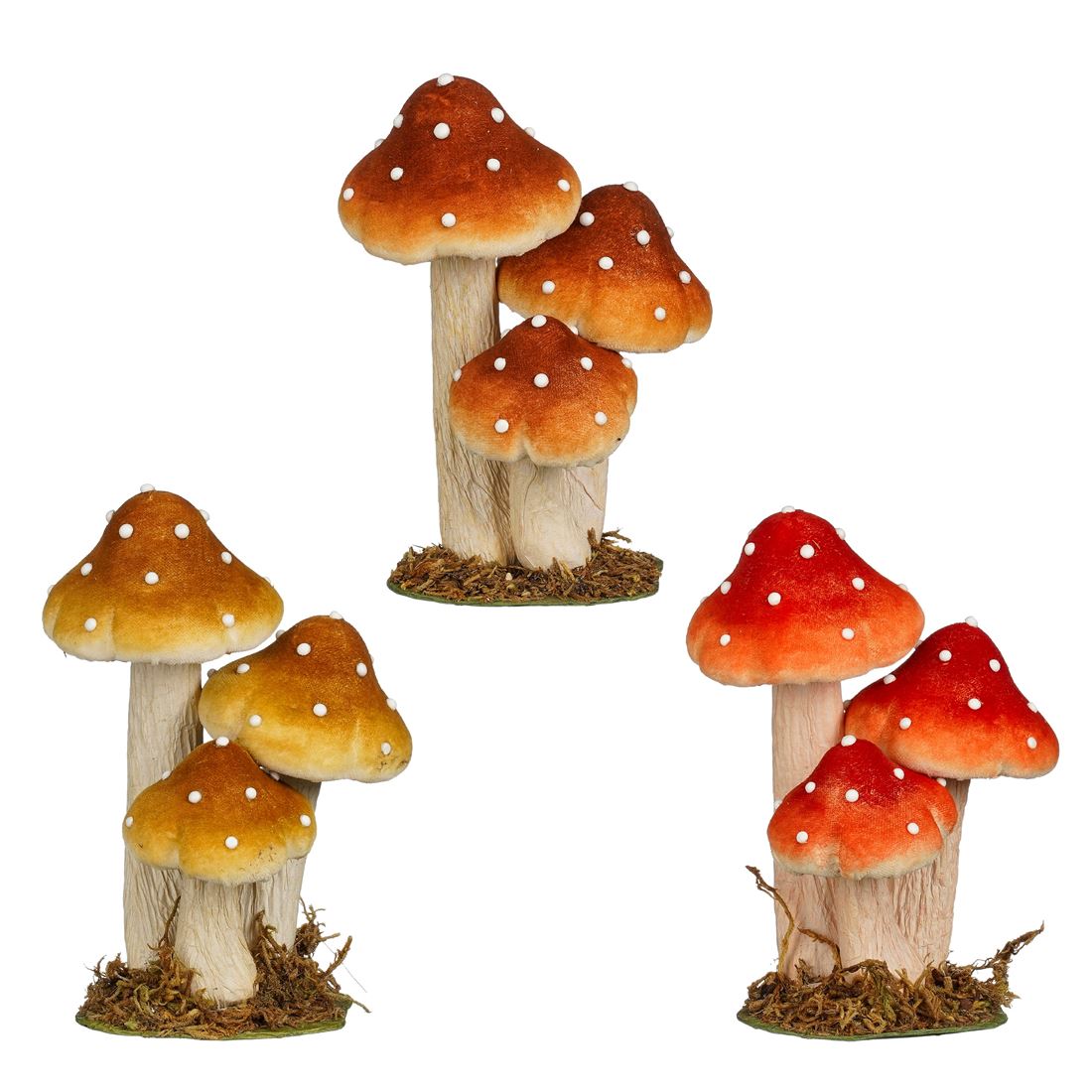 50107298505.jpg