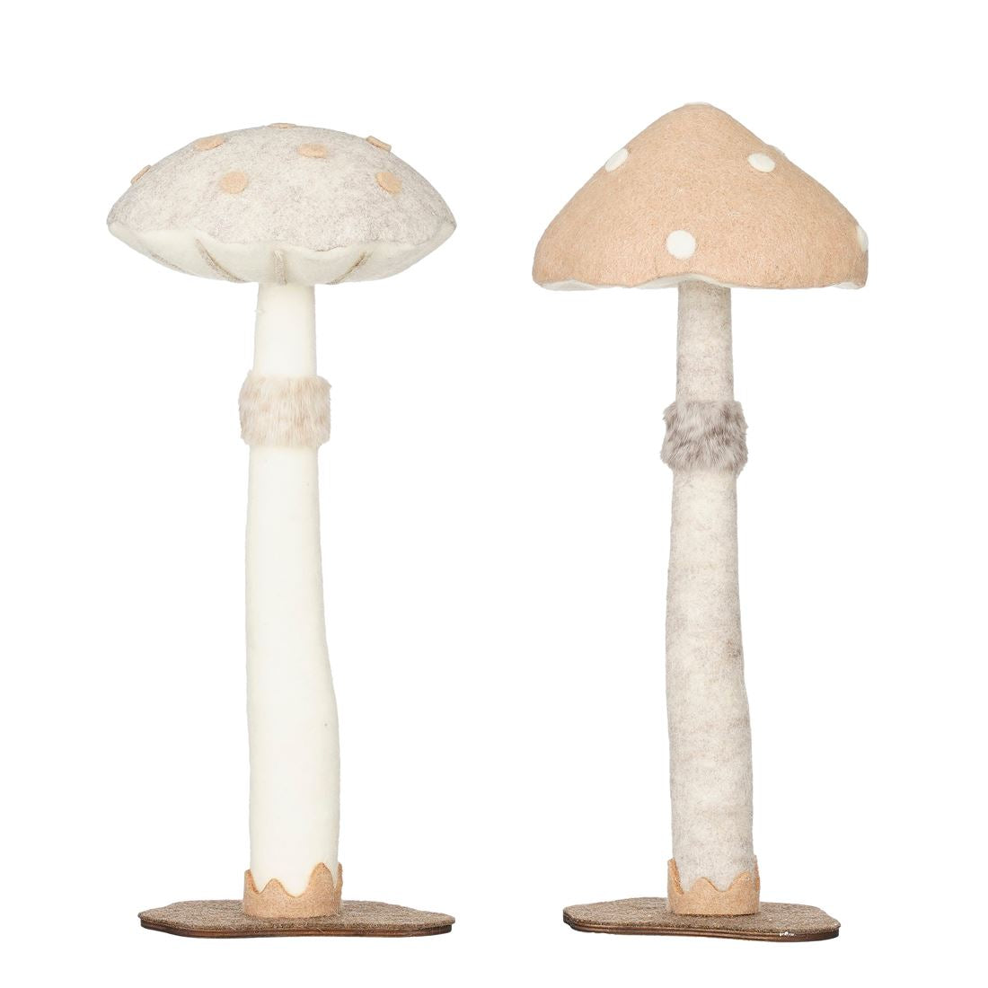 50107298576.jpg