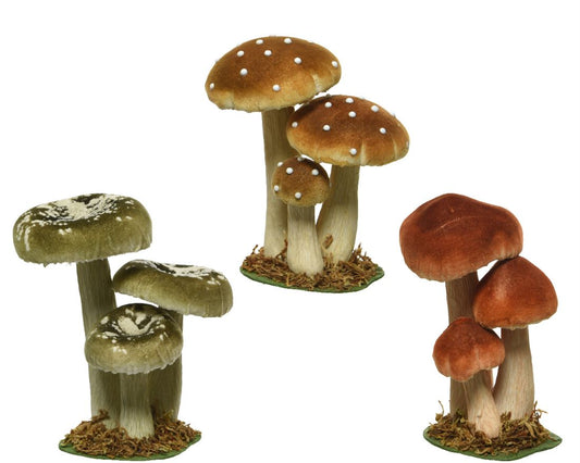 50107355540.jpg