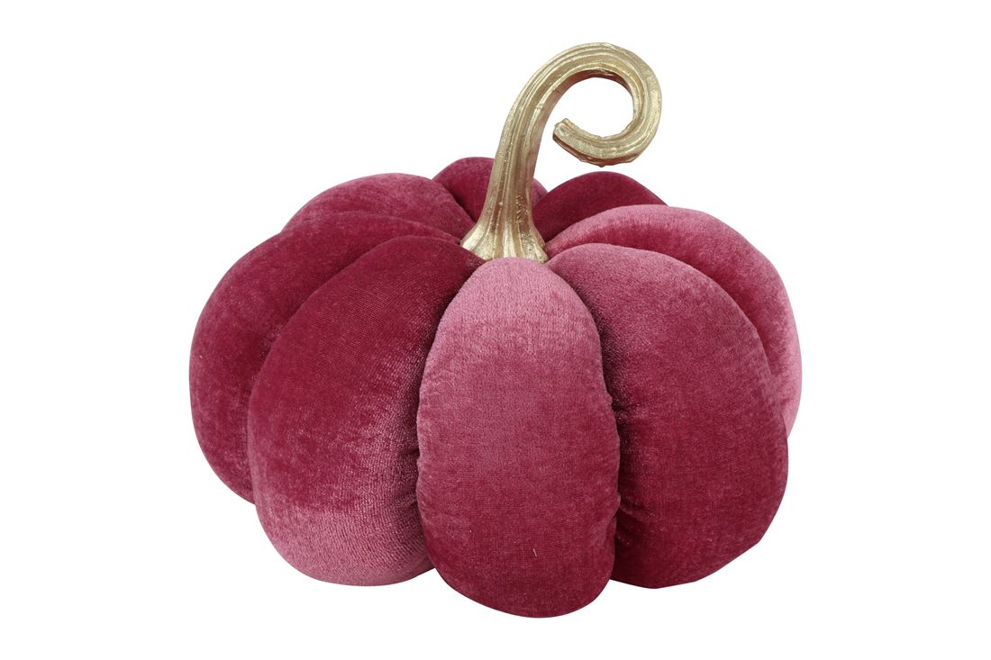 50147323813.jpg