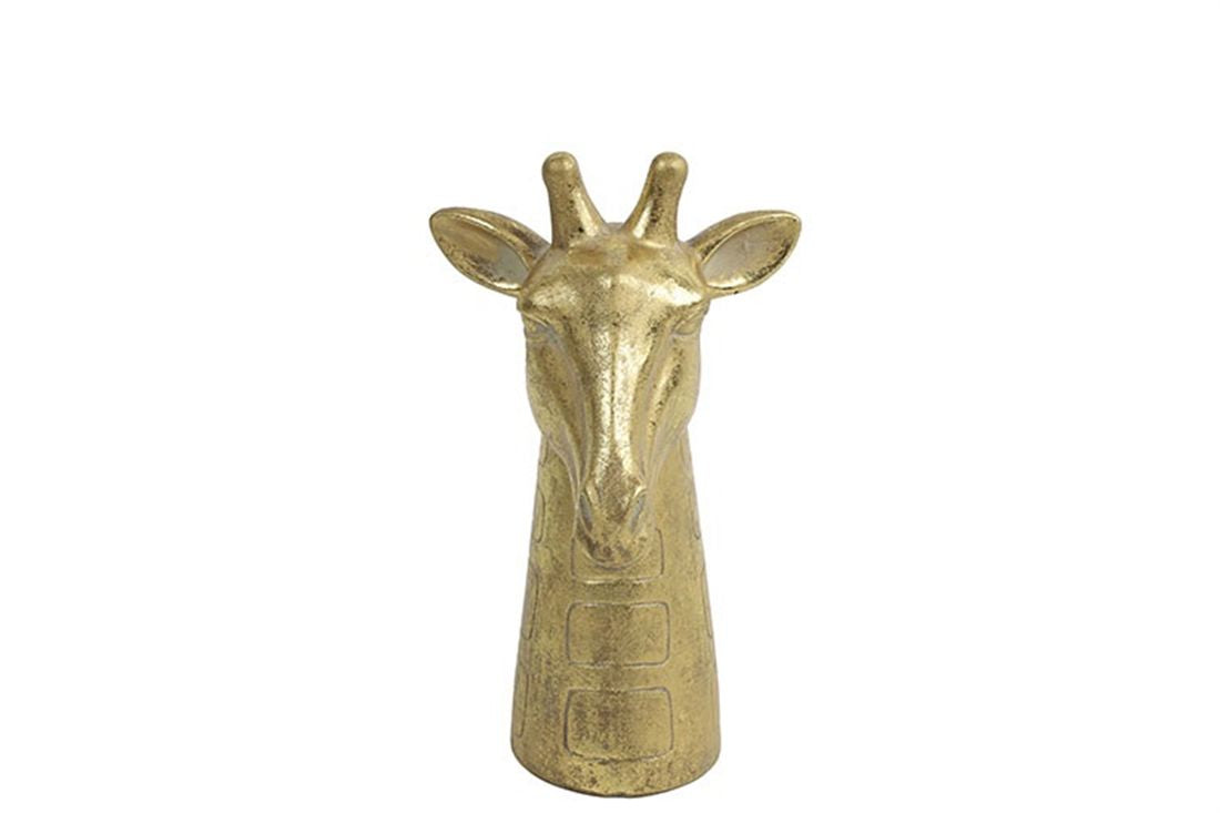 50147386600.jpg