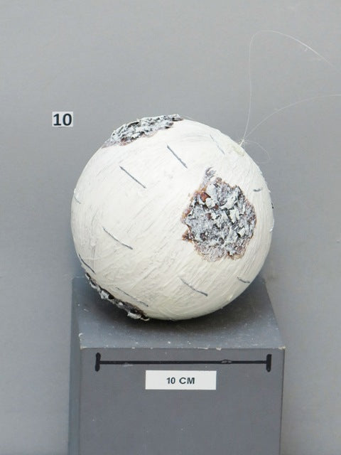 50214277500.JPG