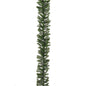 50307298816.jpg