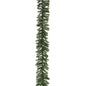 50307298819.jpg