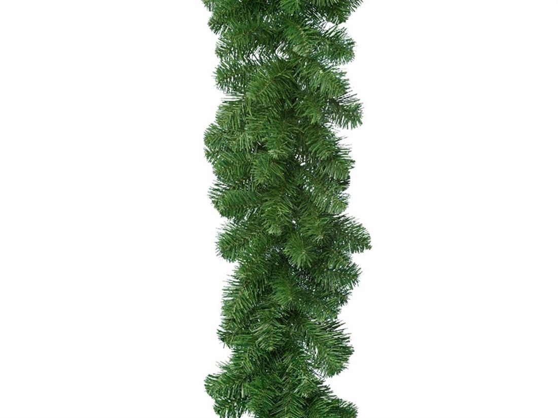 50307380449.jpg