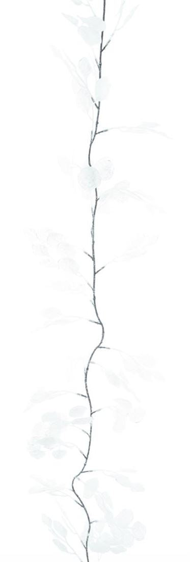 50314222830.jpg