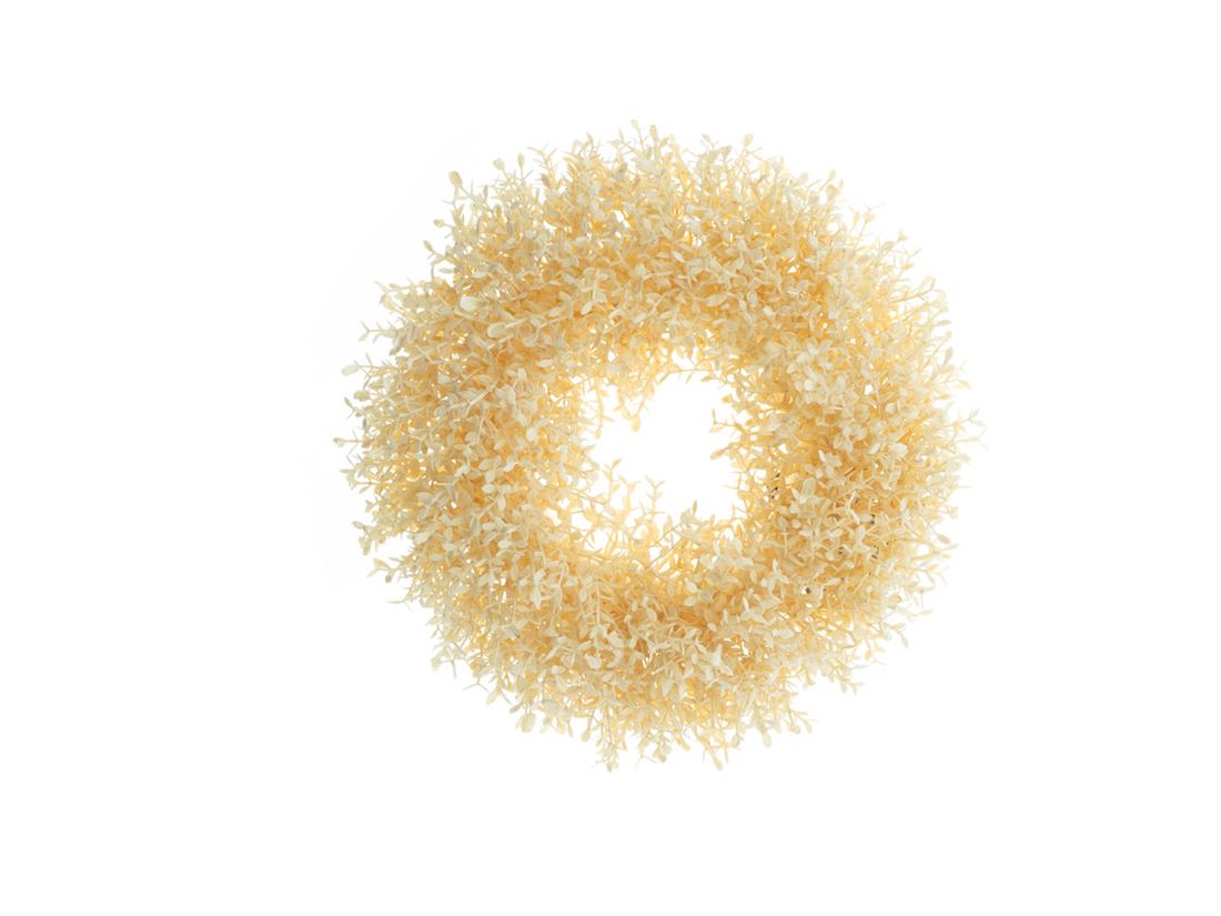 50314237410.jpg