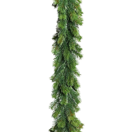 50342614454.jpg.png