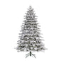 50407225663.jpg