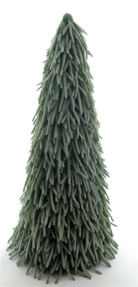 50414223350.jpg