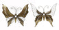 51515313400.jpg