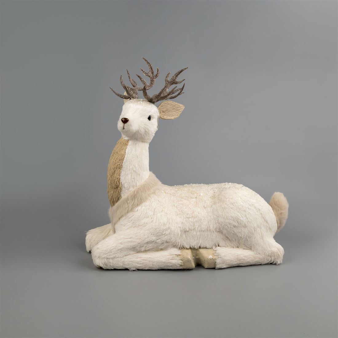 51543930277.jpg