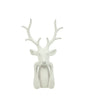 51547310127.jpg
