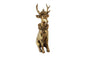 51547337197.jpg