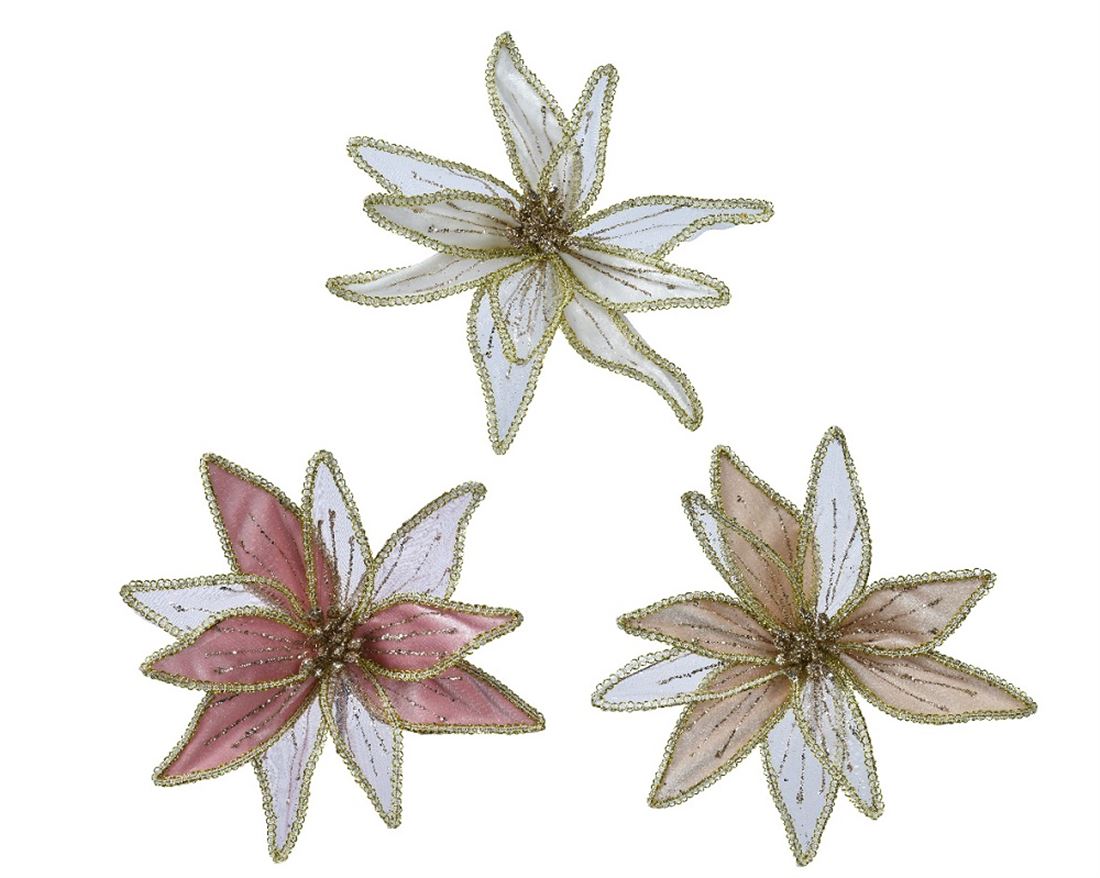 53207312843.jpg