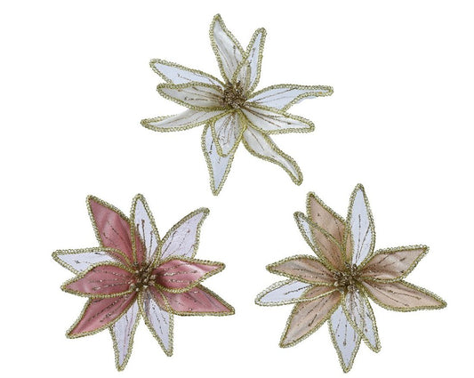 53207312843.jpg