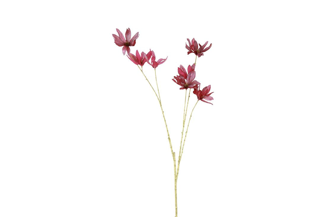 53247338569.jpg
