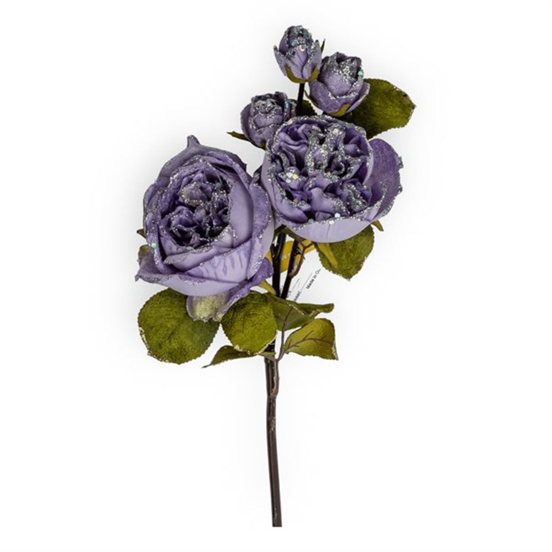 53255546604.jpg