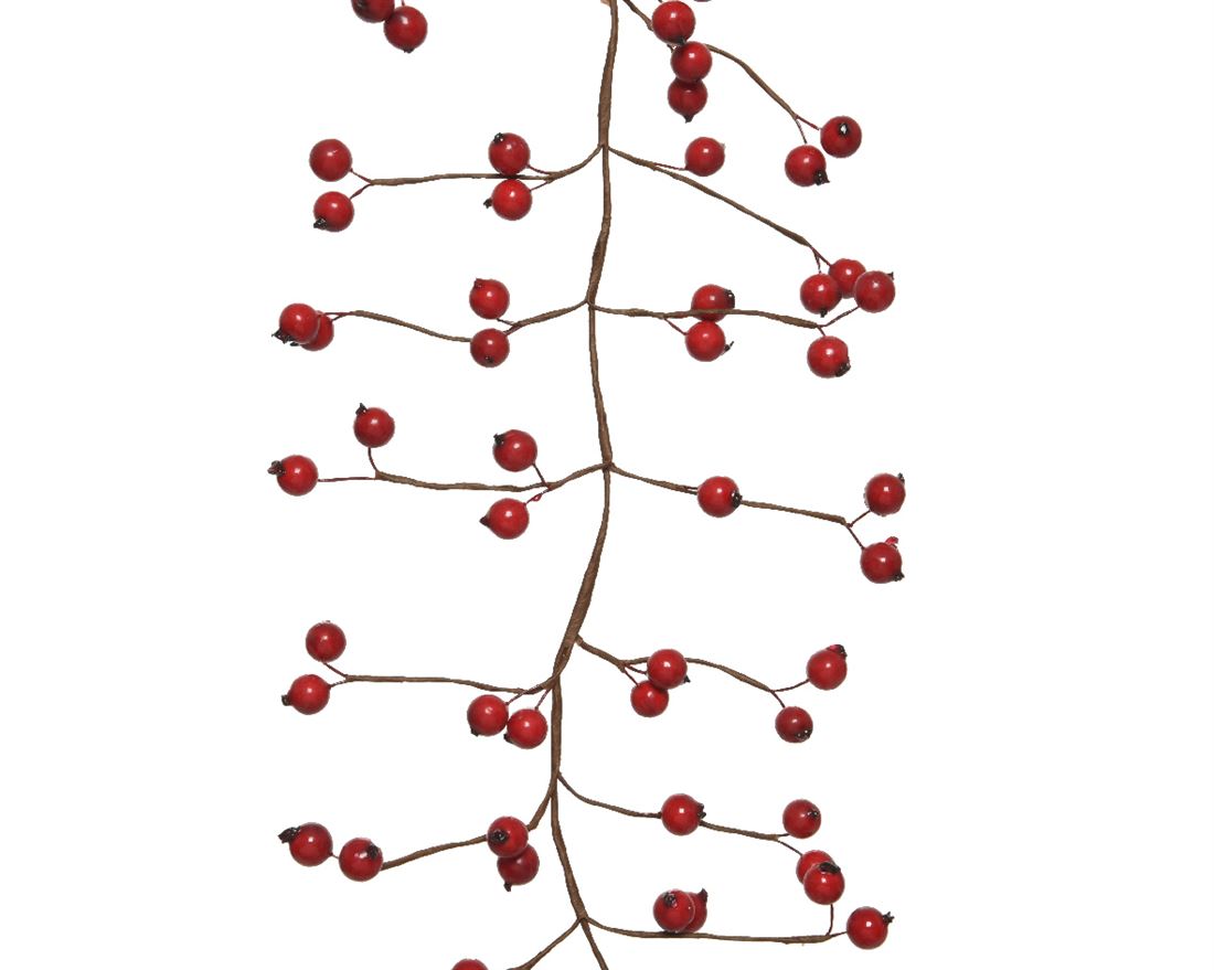 53307321037.jpg