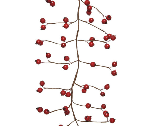 53307321037.jpg