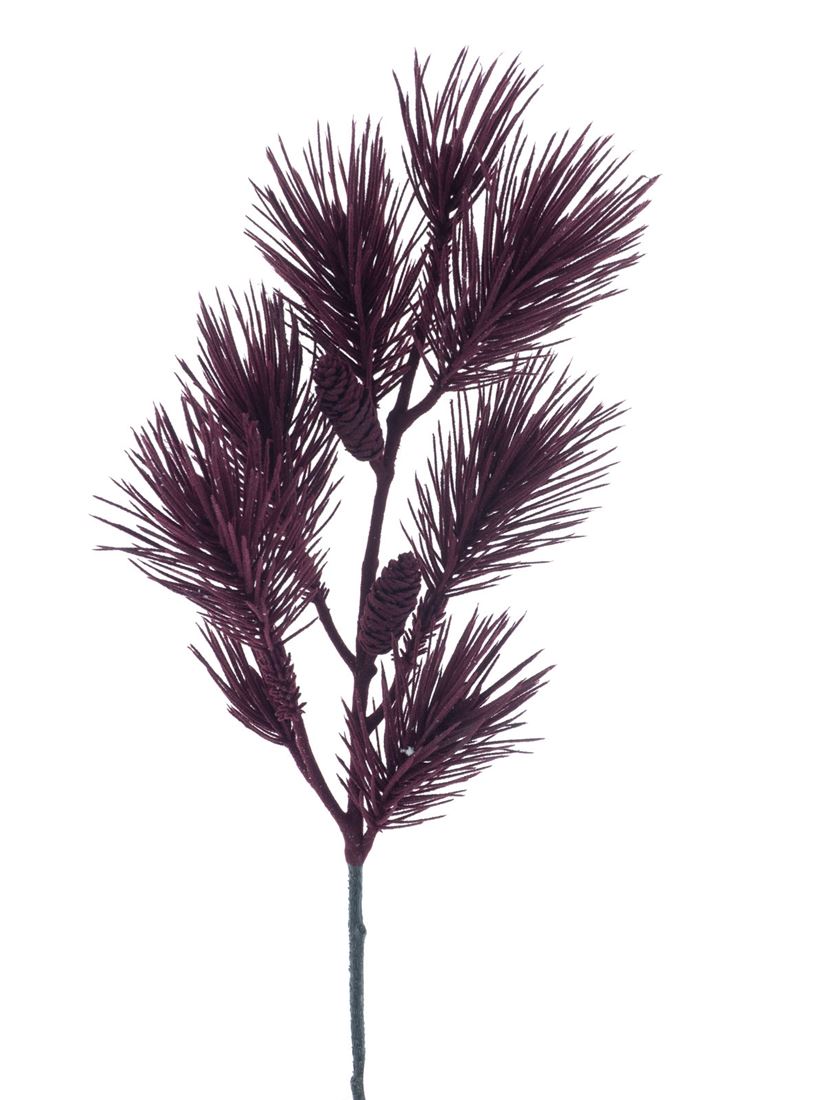 53514236773.jpg
