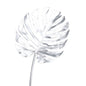 53542611897.jpg