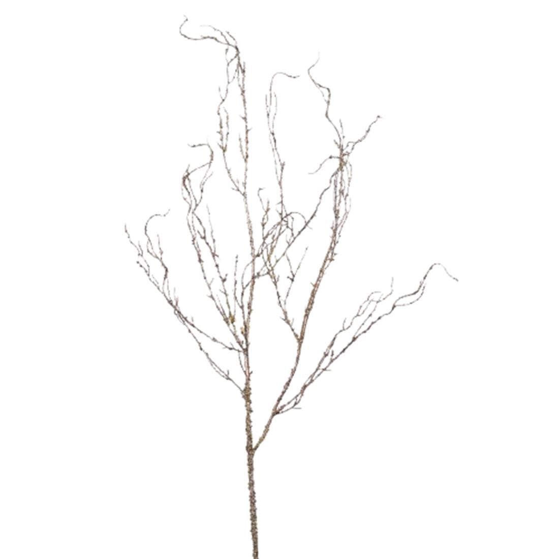 53542655663.jpg.png