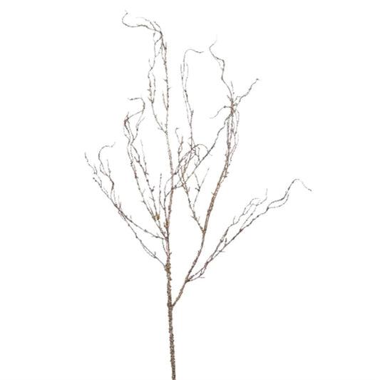 53542655663.jpg.png