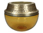 55416803075.jpg