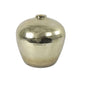 55447385790.jpg