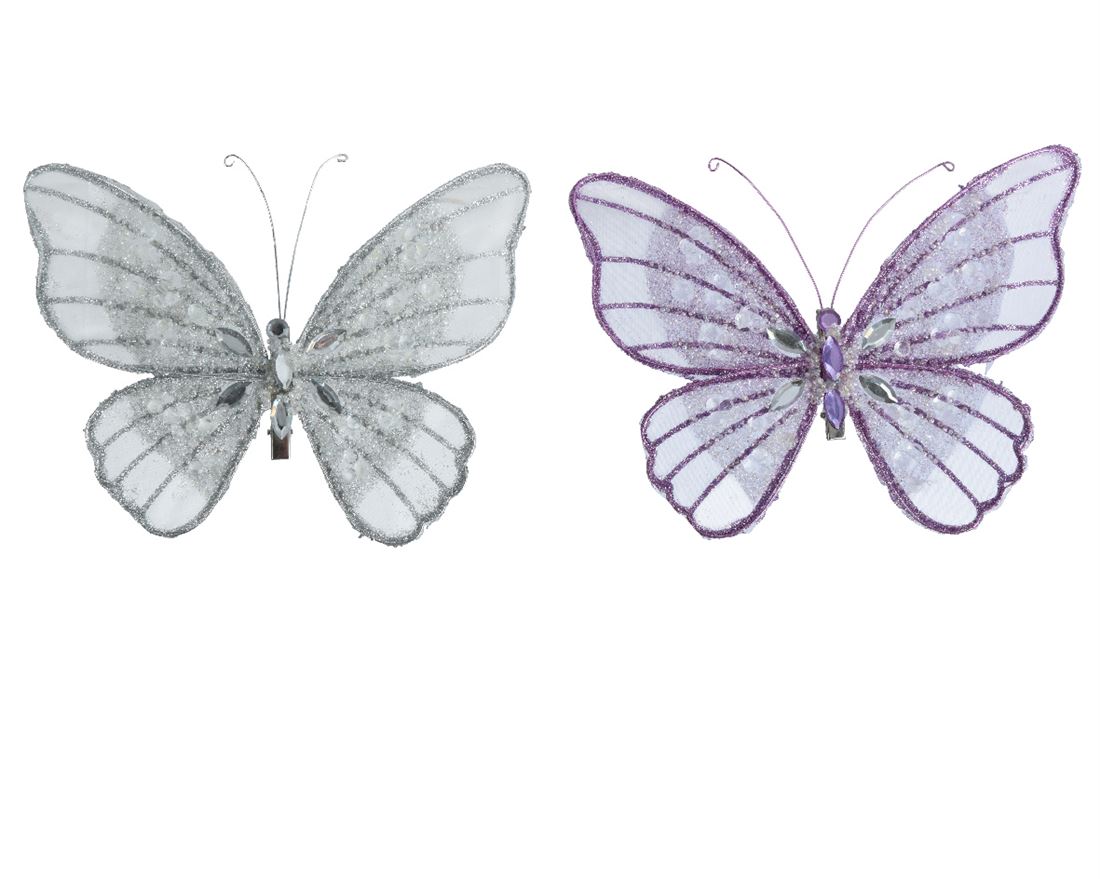 55607331805.jpg