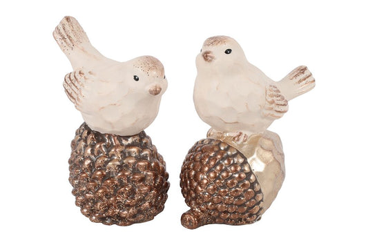 55647323938.jpg