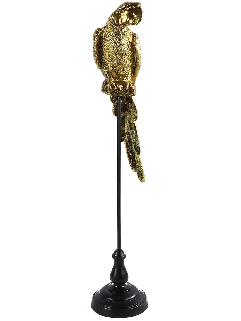 55647377603.jpg