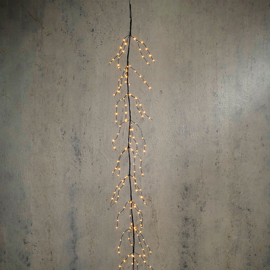 56007245886.jpg