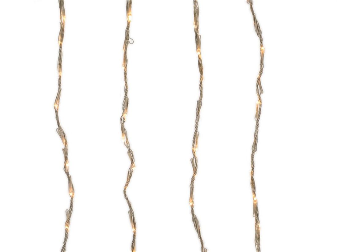 56007394756.jpg