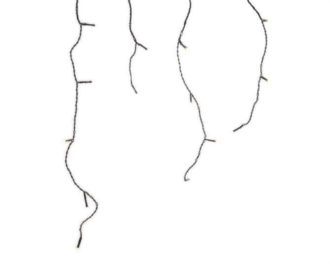 56007394831.jpg