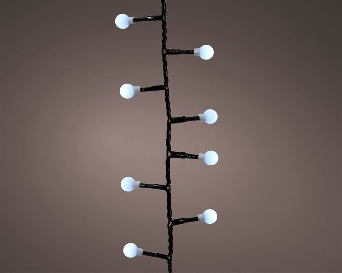 56007395547.jpg