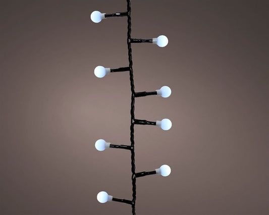 56007395547.jpg